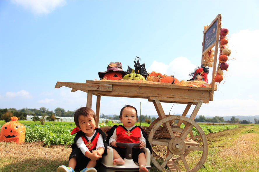 グランプリVampire brothers in the farm